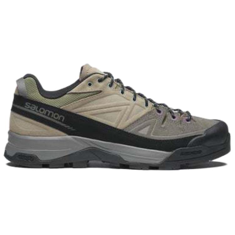 SALOMON X ALP 'Pewter Vinkha'