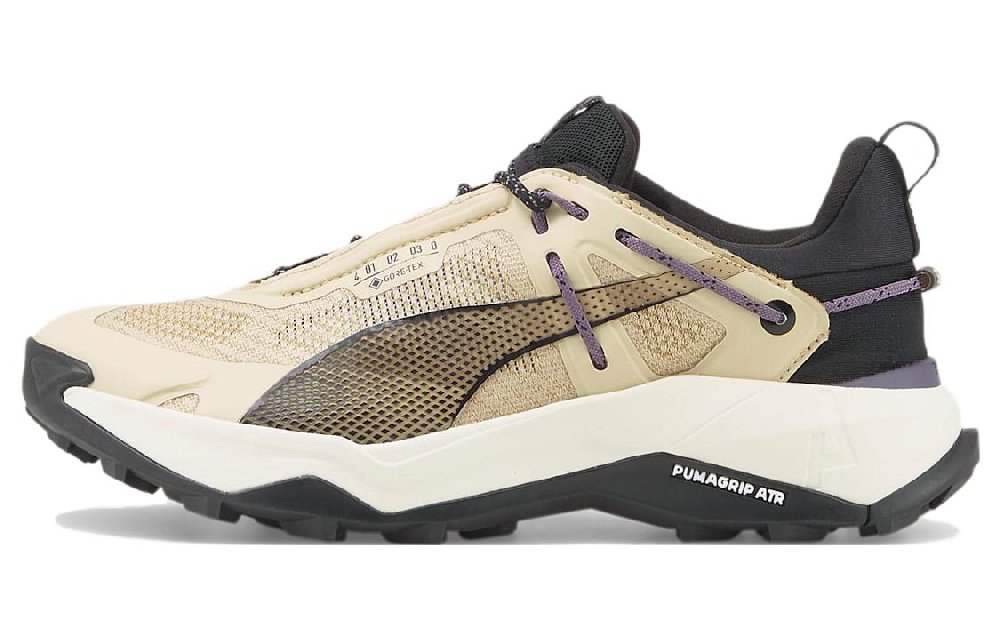 PUMA Explore Nitro GORE TEX 'Granola Purple Charcoal' Women's