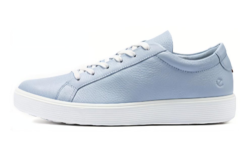 Ecco Wear-Resistant Low-Top Skateboard Shoes Men's Light Blue