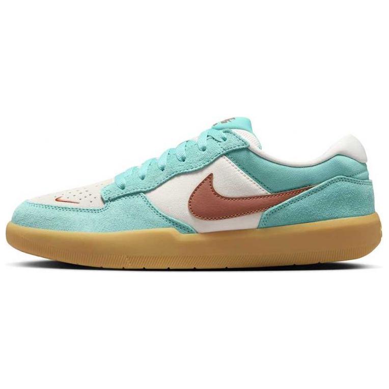 Nike Sb Force 58 Dusty Cactus