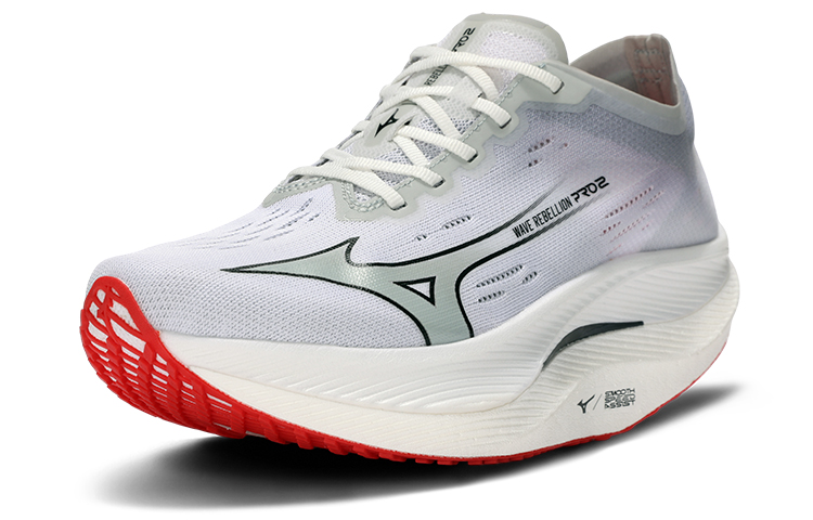 Mizuno Wave Rebellion Pro 2 'Grey'