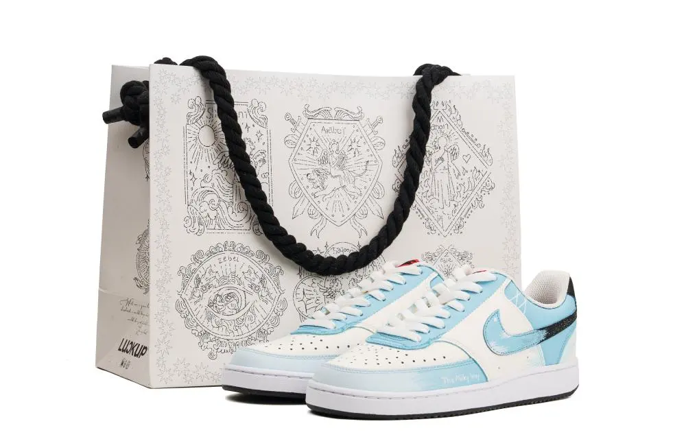 Nike Court Vision 1 Cushioning Low top Skateboard Shoes Men's White Blue
