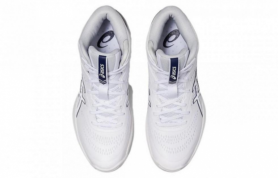 Asics Gelhoop V15 купить в интернет-магазине Yoocart с быстрой доставкой по России.