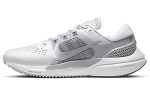 Nike Air Zoom Vomero 15 'Grey Silver' Women's