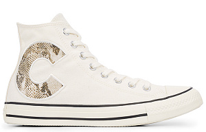 Converse Chuck Taylor All Star Wild Logo High 'Erget' Women's 1 2513769