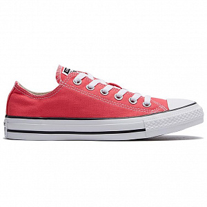 Converse Ctas Ox Strawberry Jam Pink 1 2524420