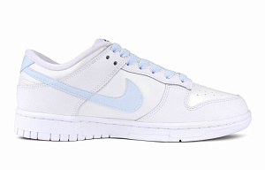 Nike Dunk Low-Top Skateboard Shoes Women's White Blue 1 2544126
