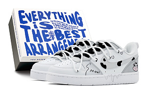 Nike Court Borough Low Top Skateboard Shoes GS White Gray