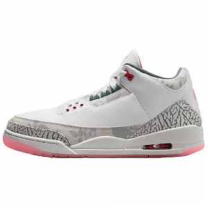 Jordan 3 Retro Wings