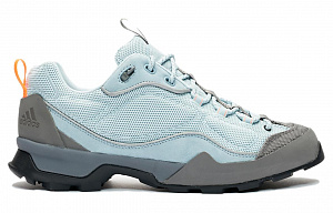 adidas Consortium Hiking Shoes Men 1 2622700
