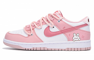 Nike Dunk Chestnut Slip-Resistant Coverage Low-Top Skateboard Shoes Women's Pink 1 2662145