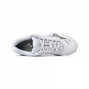 Mizuno Wave Claw Badminton Shoes Women's Low top White/Silver 1 2667747