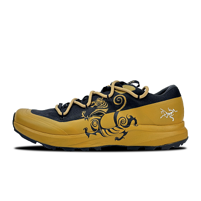 Arcteryx Aerios Fl 2 Outdoor Shoes Unisex Low-Top Earth Yellow