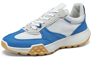 Ecco Anti-Slip And Wear-Resistant Coverage Low-Top Casual Shoes Men's Electric Blue White 1 2702494