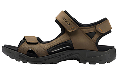 Ecco Beach Sandals Men Brown Black