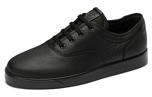 Ecco Low Top Skateboard Shoes Black 1 2705403