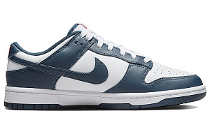 Nike Dunk Skateboard Shoes Men's Low top Blue/White 1 2729009