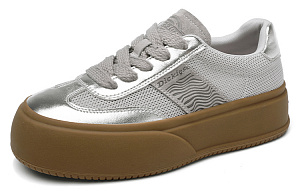 Dickies Low top Skateboard Shoes Women's Silver Gray 1 2737416