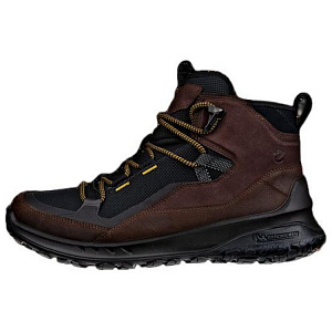 Ecco Outdoor Boots Men Brown