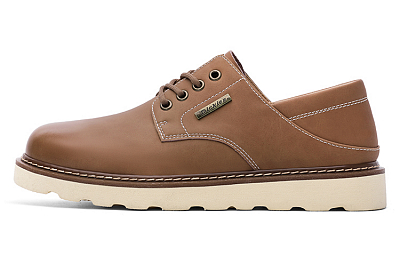 Dickies Ankle Boots Men's Brown