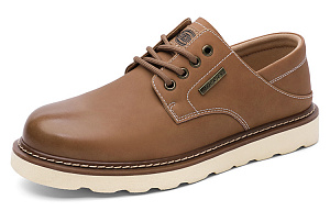 Dickies Ankle Boots Men's Brown 1 2798844