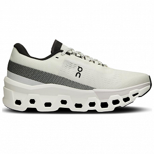 On Running CloudmOnster 2 White Frost Women's 1 2891029