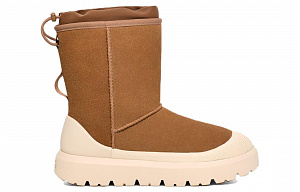 UGG Classic Short Weather Hybrid Boot Chestnut Whitecap 1 2915845
