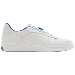 Burberry Terrace Low Top Skateboard Shoes Men's White Blue 1 2929604