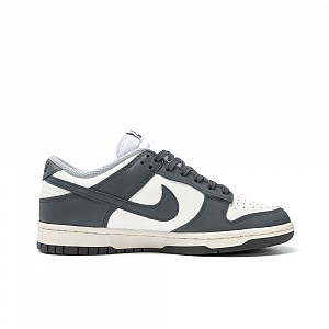 Nike Dunk Skateboard Shoes Women's Low top White 1 2968325