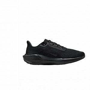 Nike Air Zoom Pegasus 41 Black Anthracite 1 2987052