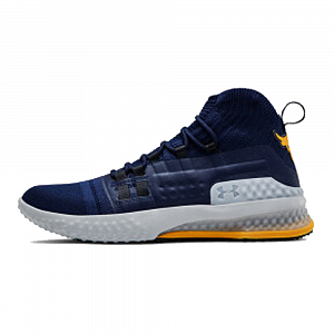 Under Armour Project Rock 1 'Academy'