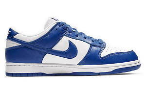 Nike Dunk Low Retro Sp 'Kentucky' 1 3034500