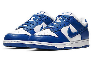 Nike Dunk Low Retro Sp 'Kentucky' 2 3034501