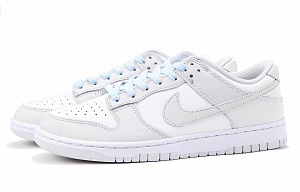 Nike Dunk Coverage Anti-Slip And Wear-Resistant Low-Top Skateboard Shoes Unisex Blue Gray 3 3058626