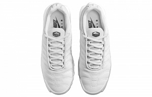 Nike Air Max Plus Platinum Tint Women's 3 3096024
