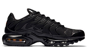 Nike Air Max Plus 'Triple Black' 1 3115193
