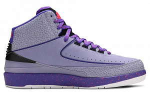Jordan 2 Retro Iron Purple 1 3137442