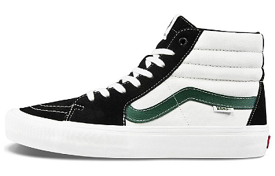 Sk8 Vans Hi Pro 'Black Alpine'