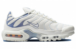 Nike Air Max Plus Ashen Slate Women's 1 3173665