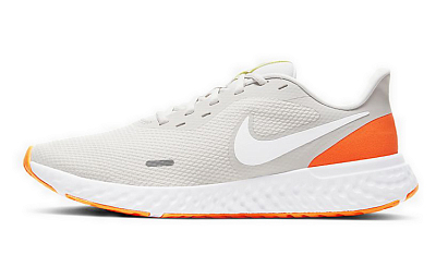 Nike Revolution 5 Platinum Tint