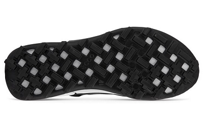 Ecco BIOM 2.1 X Mountain Low Top Casual Shoes Men's Black