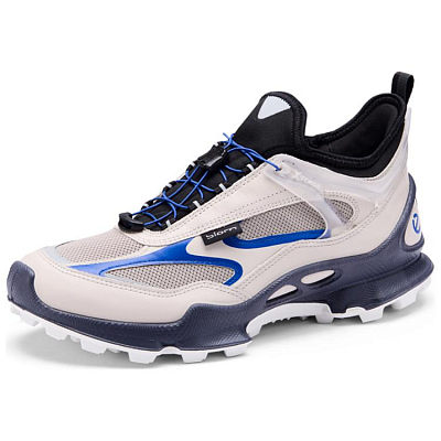 Ecco Striding C Low-Top Hiking Shoes Men's Gray Blue