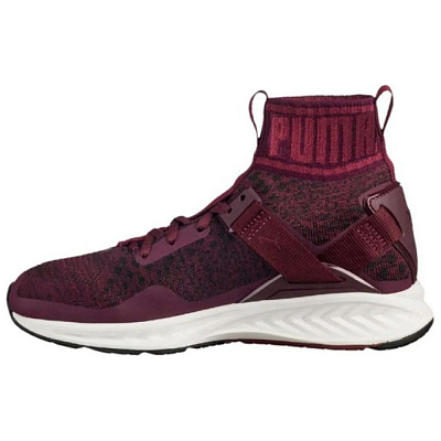 PUMA Ignite Evoknit 'Dark Red CMFT' Women's