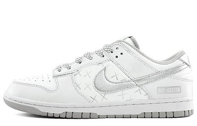 Nike Dunk Low Top Skateboard Shoes Unisex White Silver