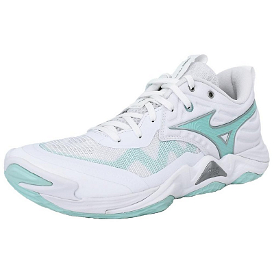 Mizuno WAVE MOMENTUM ELITE Training Shoes Unisex Low Top White Green