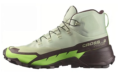 SALOMON Cross Hike 2 Mid GORE-TEX 'Desert Sage Green Gecko'