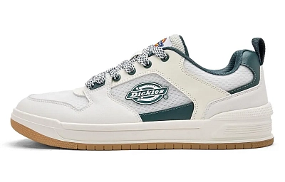 Dickies Low Top Skateboard Shoes Men's White Green
