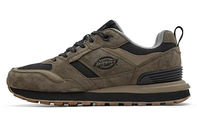 Dickies Low Top Casual Shoes Men's Brown Green