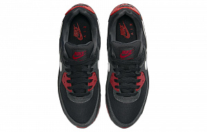 Nike Air Max 90 'Anthracite Mystic Red' 3 4171999