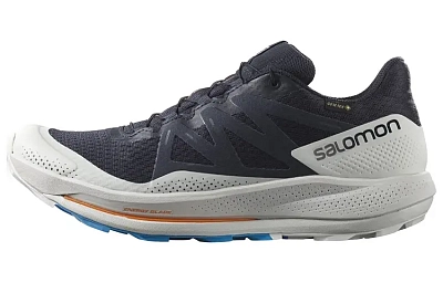 SALOMON Pulsar Trail Gtx 'Night Sky' / L00